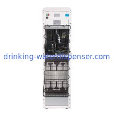 Free Standing Pipeline Water Cooler Dispenser With Filtration System