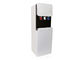 Simple Design Hot Warm Water Cooler Dispenser R134a Compressor Cooling